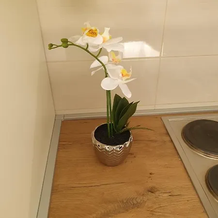 Apartment Ukic *